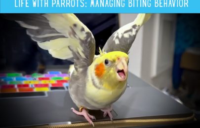 Life with Parrots: Biting Behaviors